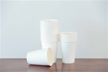 Develoment of pPaper Industry